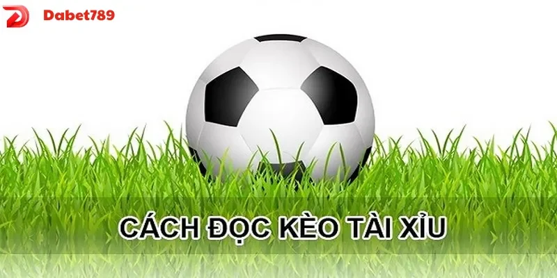 Cách đọc kèo tài xỉu chuẩn tỷ lệ ăn kèo cao