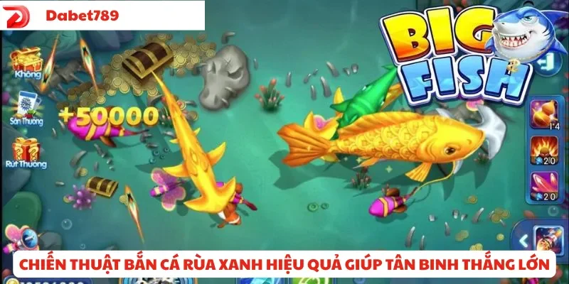 Chiến thuật bắn cá rùa xanh hiệu quả giúp tân binh thắng lớn