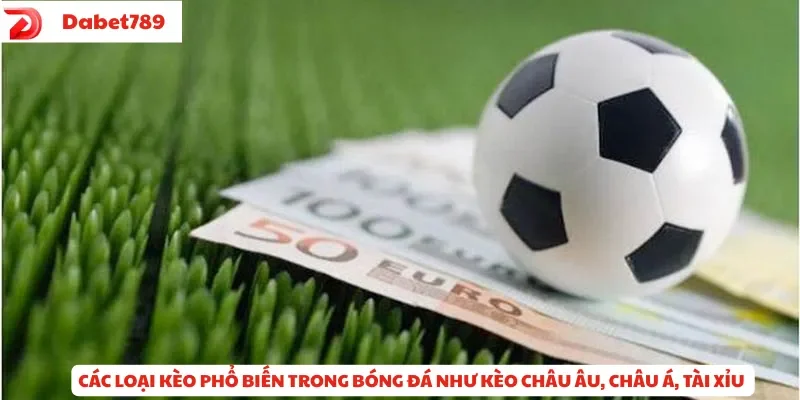 Các loại kèo phổ biến trong bóng đá như kèo châu Á, châu Âu và tài xỉu