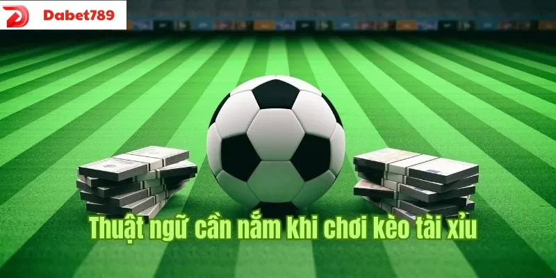 Thuật ngữ cần nắm khi chơi kèo tài xỉu